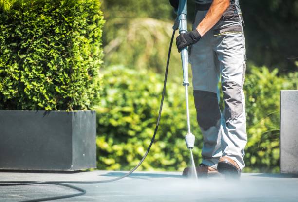 Best Paint Preparation  in Ellisville, MO