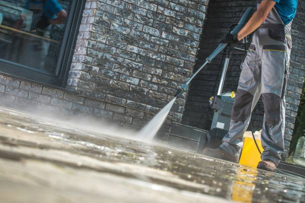 Best Animal Enclosure Cleaning  in Ellisville, MO
