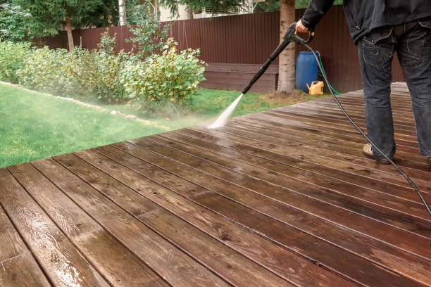 Best Sidewalk and Walkway Cleaning  in Ellisville, MO