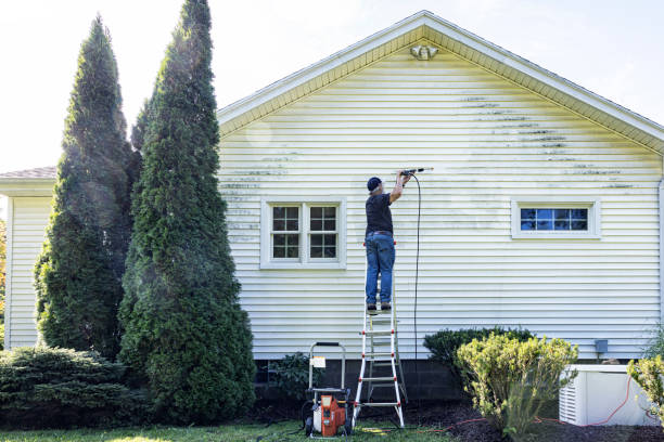 Best Patio and Deck Pressure Washing  in Ellisville, MO
